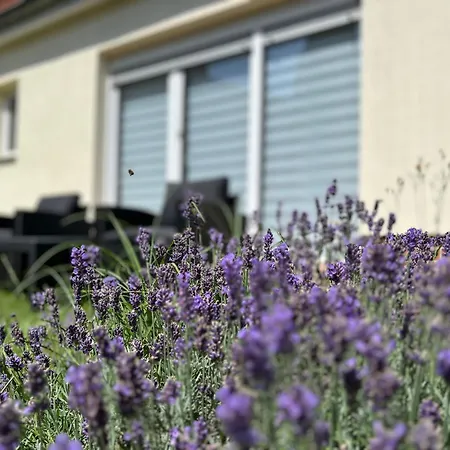 Casa Edelsita Apartamento