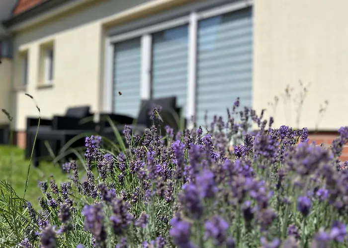 Casa Edelsita Apartment